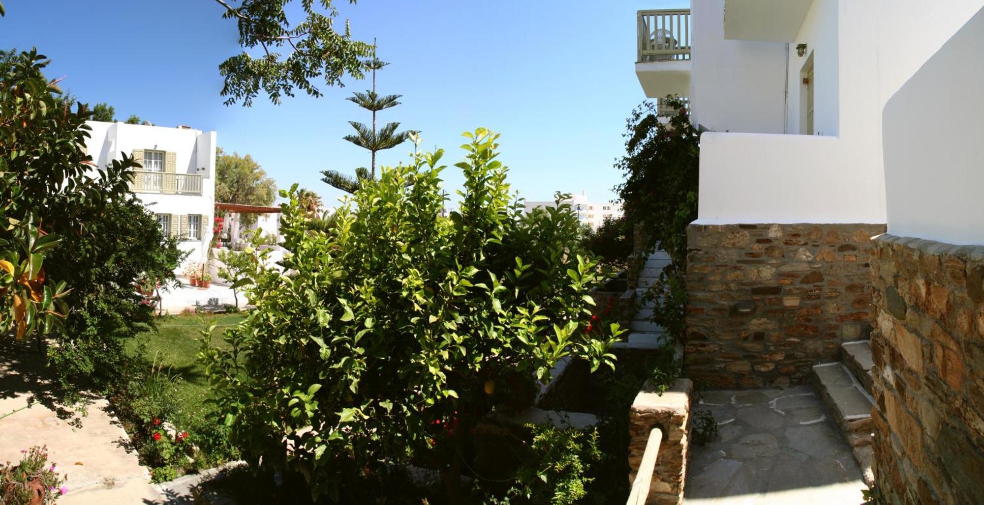 Vidalis Hotel Kionia Exterior photo